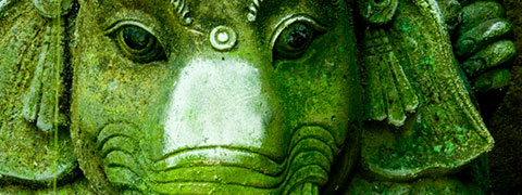 Buddhismus Trauer