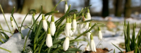 Beileid wünschen – Knigge