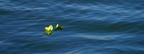 Seebestattung in der Ostsee