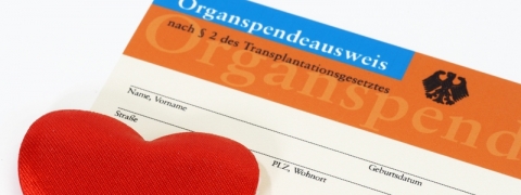 Verfügung zur Organspende