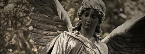 Virtueller Tierfriedhof